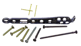 Screws, Plates, and Rods