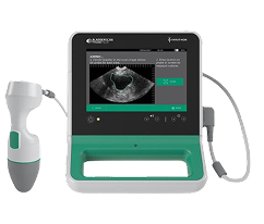 Bladder scanners