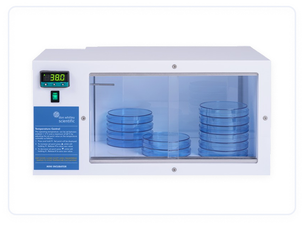Mini Incubator