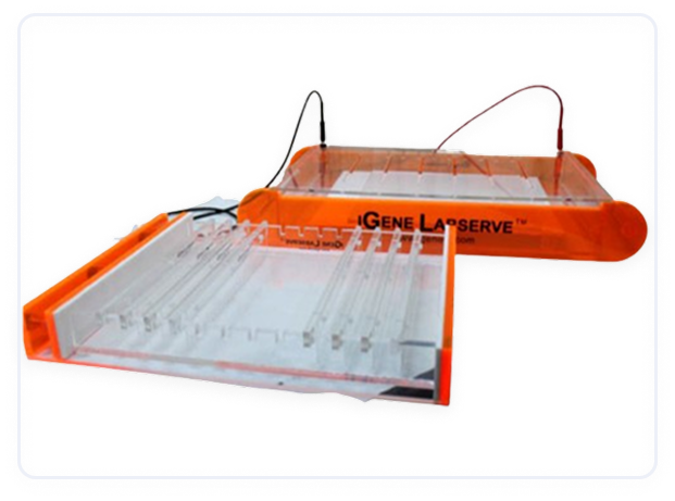 Electrophoresis