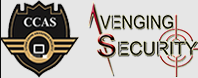 Avenging Security
