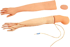 Phlebotomy Training Mannequins
